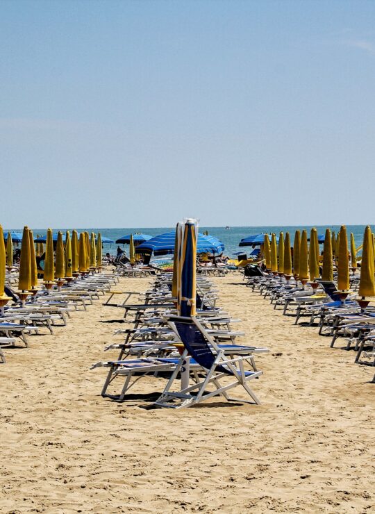 Bellaria