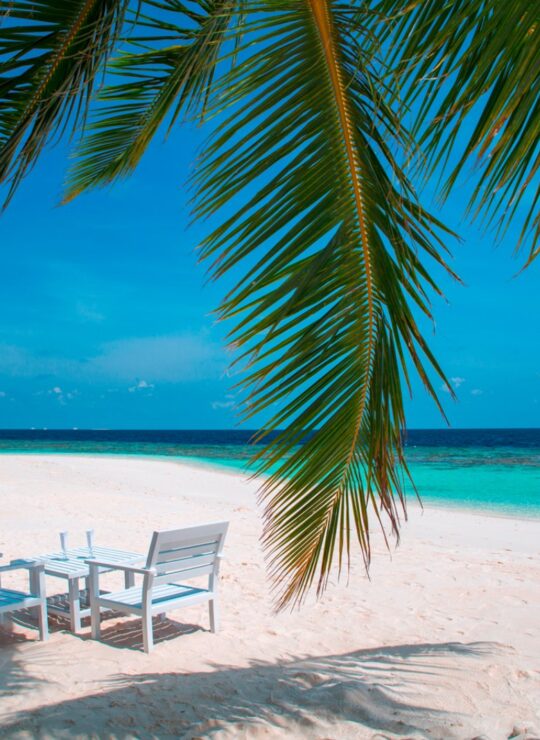 Maldive