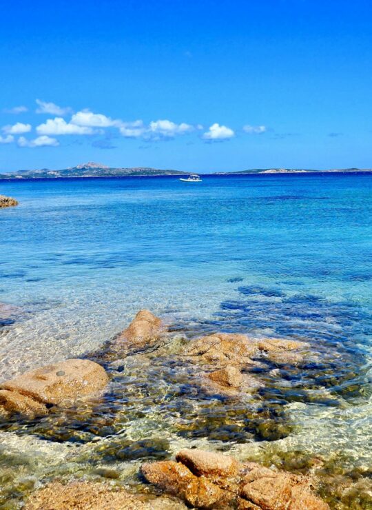 Sardegna