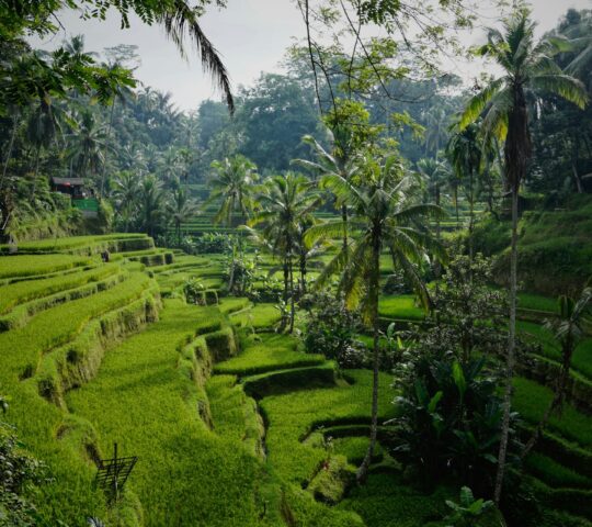 Indonesia